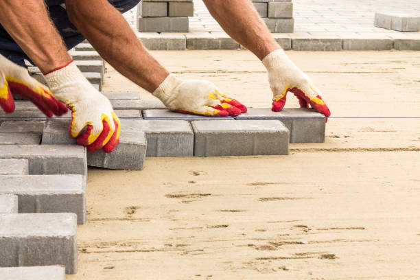 Best Driveway Paving Company  in Martin, TN